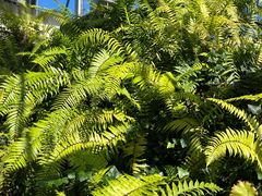 -国家植物园南园