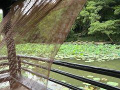 -兰亭风景区