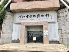 -深圳仙湖植物园
