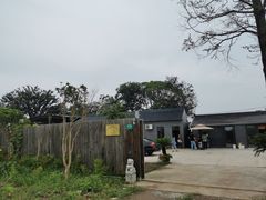 -南汇新场正宗水蜜桃采摘