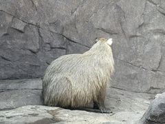 -宁波野生动物园