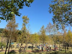-牛岗山公园