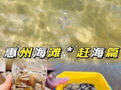 -巽寮湾