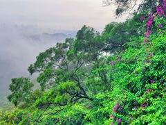 -广州市白云山风景名胜区