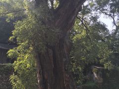 -水峪民俗村
