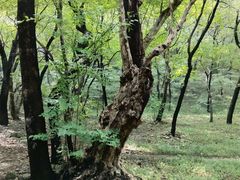 -天门寺