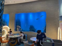 -瑞德姆美人鱼海底演艺主题餐厅(亚龙湾店)