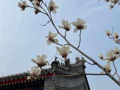 -西海子公园