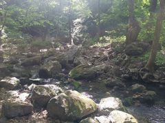 -香炉山国家森林公园
