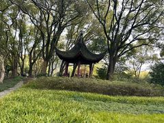 -上海方塔园