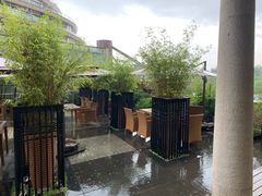 -青藤茶馆(凤起路店)