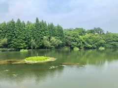 -天生桥景区