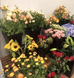 -摩睫+皮肤管理·科学美容中心