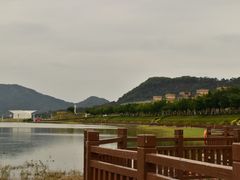 -风云岭森林公园