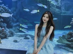 -海合安武汉极地海洋公园