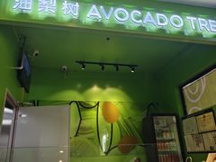 -油梨树AVOCADO TREE(顺义新国展店)