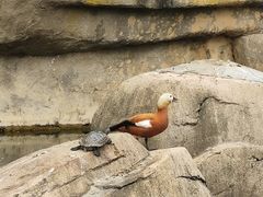 -福州动物园