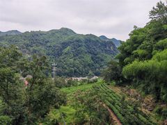 -藏龙百瀑风景区