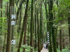 -同里国家湿地公园
