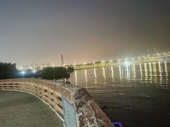 -宝安西湾红树林湿地公园