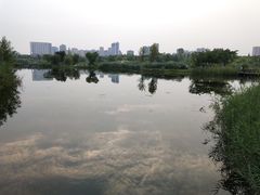 -眉山湿地公园(东坡区)