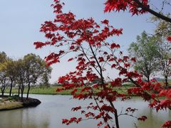 -嘉北郊野公园