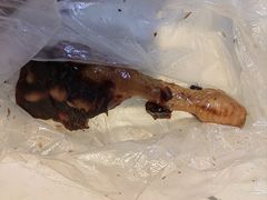 -鸡脚旮旯平江路店