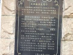 -生活林(河北路店)