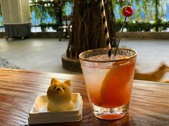 -柴犬高等学院·狗咖·柴犬售卖·宠物训练