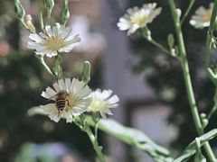 -安吉龙王山峡谷漂流