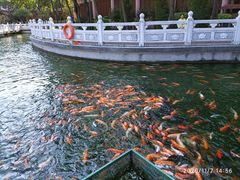 -广东圆玄道观
