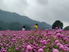 -广州市石门国家森林公园