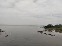 -深圳湾公园(南山区)