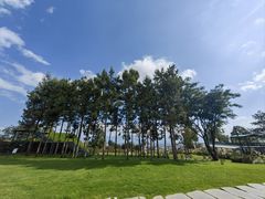 -云禾壹海景庄园餐厅