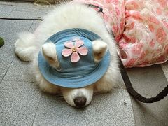 -中海环宇荟