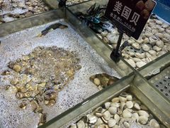 -领鲜活海鲜榴莲自助火锅(东门店)
