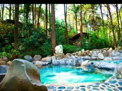 -金方森林温泉