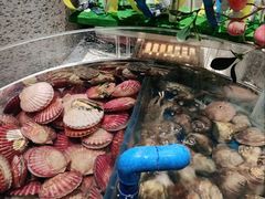 -河北宾馆·香溢自助餐(裕华店)