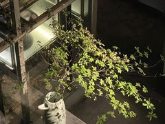 -穹六人间 people 6(岳阳路店)