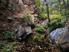 -大岭沟猕猴桃谷风景区