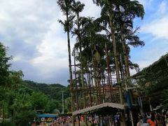 -重庆海昌加勒比海水世界