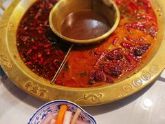 -哥老官重庆美蛙鱼头(日月光店)