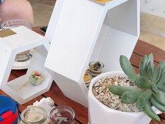 -三亚海棠湾喜来登度假酒店大堂吧
