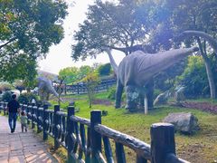 -自贡恐龙博物馆