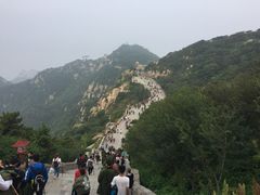 -赵记煎饼卷大葱(东岳店)