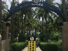 -白沙湾海滩
