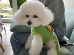 -comecome来吧宠物(奥克斯中心店)