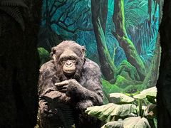 -国家自然博物馆