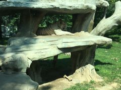 -北京野生动物园