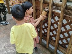 -杭州开元森泊度假乐园